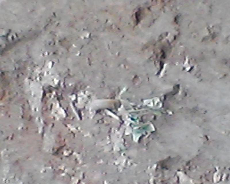 供應(yīng)廣東珠?；哟蜚@噴錨支護(hù)施工