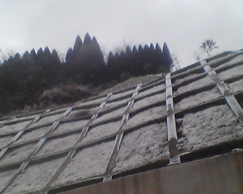 供應(yīng)佛山基坑噴錨打鉆支護(hù)施工