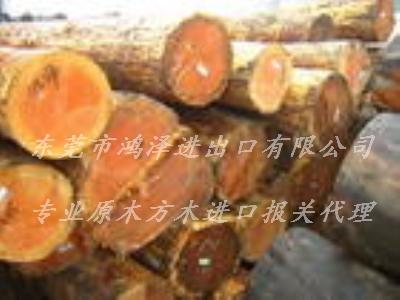 红栎木原木材进口流程手续资料单证图片