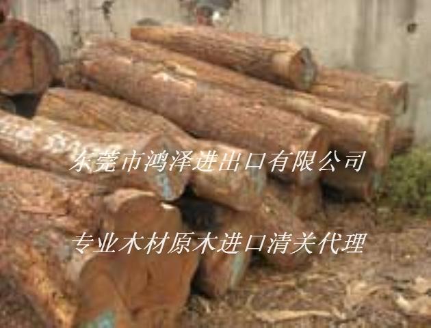 垂崖豆木深圳进口报关清关商检公司图片