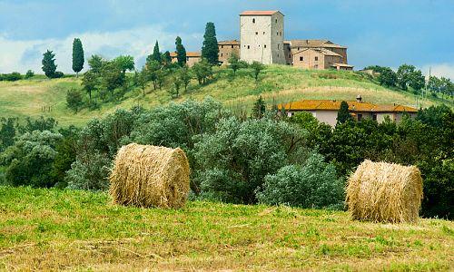 紅酒進(jìn)口代理紅酒進(jìn)口報(bào)關(guān)圖片