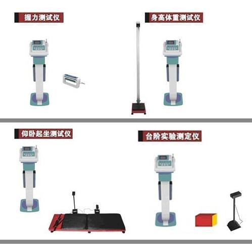 供应体能测试仪/小学/初中/高中/中专/大学/幼儿园体质测试仪器