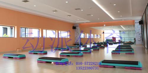 供應(yīng)有氧踏板/有氧健身踏板操/韻律板/大踏板/小踏板/健身用踏板