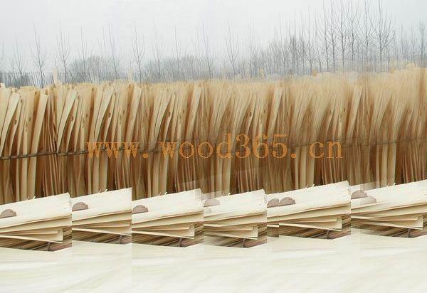 供應(yīng)楊木單板板皮楊木單板板皮廠家供應(yīng)