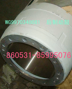 WG9970340081图片