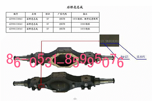 9981330066图片