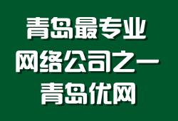 青岛易优网信息技术有限公司