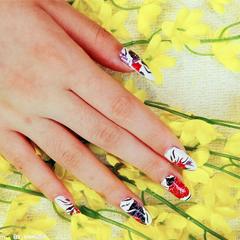 北京培訓(xùn)班圖片