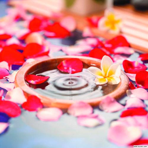 福州鑫天使哪里學(xué)水療福州哪里學(xué)水圖片