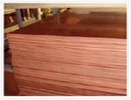 進(jìn)口紫銅板2圖片