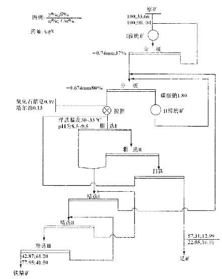 供应氧化铁矿反浮选试验