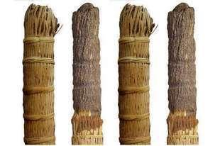 安化黑茶圖片/安化黑茶樣板圖 (2)