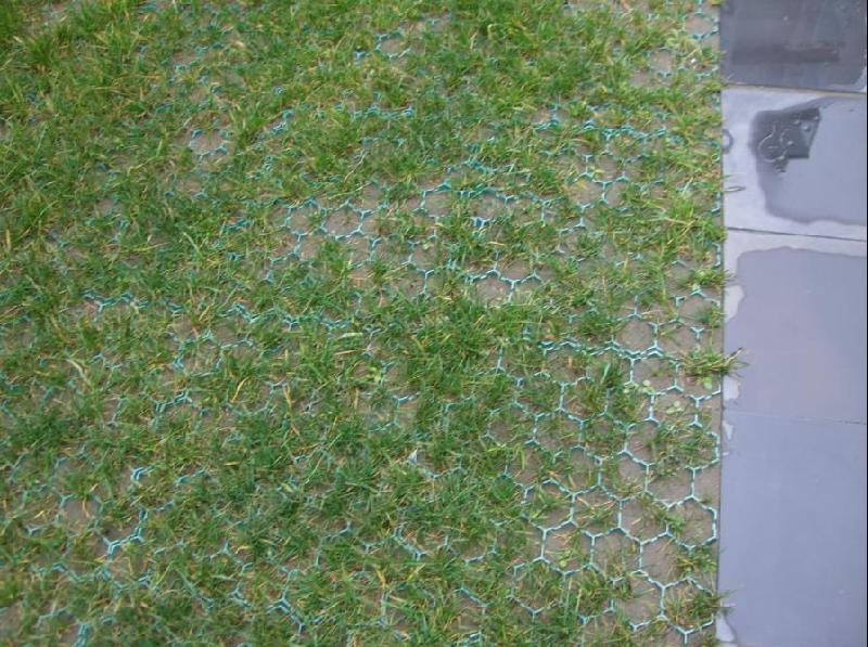 供應(yīng)植草格批發(fā)，植草格廠家直銷，HDPE植草格