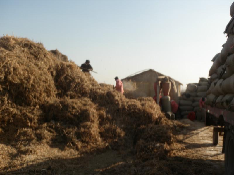 供應(yīng)平菇豆秸粉那里*