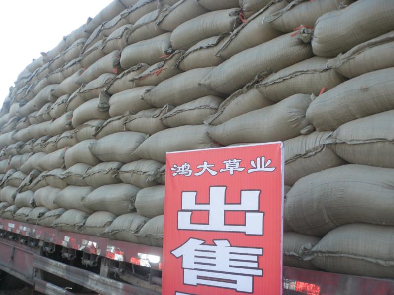 供應(yīng)平菇豆秸粉那里*