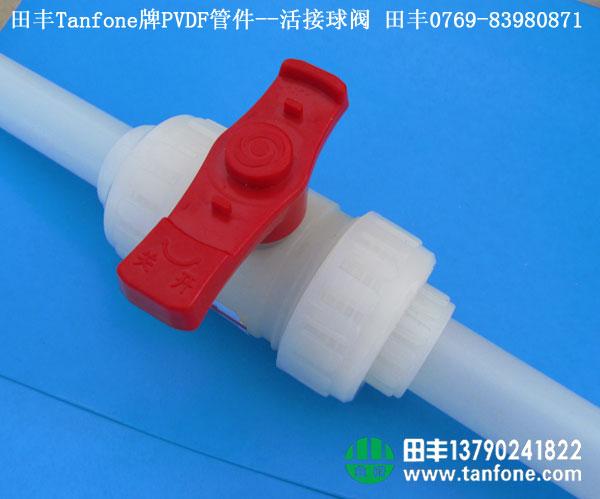 供應(yīng)PVDF球閥,活接球閥廠家批發(fā)