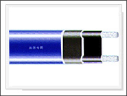 华慧电伴热图片