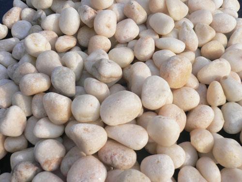 供應(yīng)上海園林綠化卵石合格證，卵石礫石經(jīng)銷商