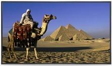 供應(yīng)觸摸一體機(jī)