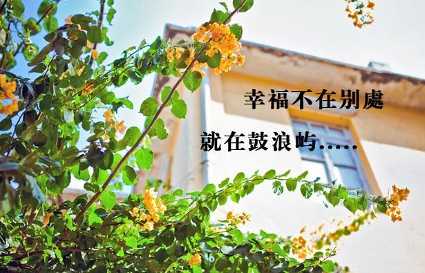 供應(yīng)深圳到福建廈門(mén)高鐵三日游旅游 廈門(mén)鼓浪嶼旅游