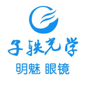 武汉子轶光学公司