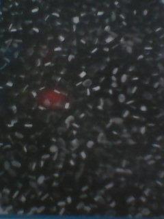 超導(dǎo)電PO料圖片