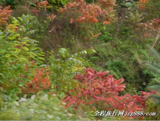 九寨沟自助游行程路线旅游包车厂家