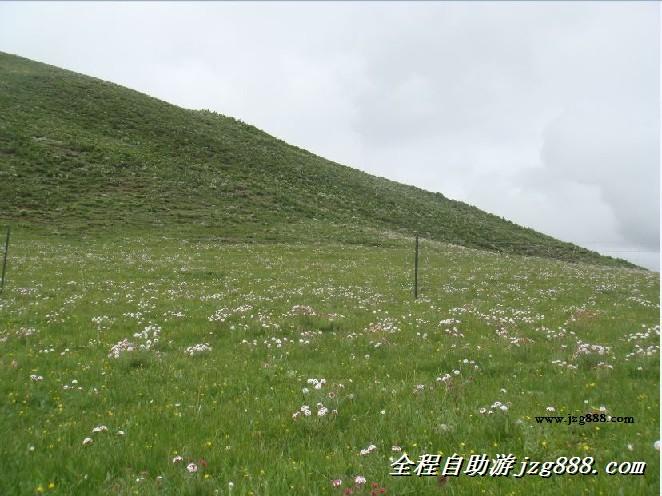 四川旅游九寨沟自助游旅游包车服务供应四川旅游九寨沟自助游旅游包车服务