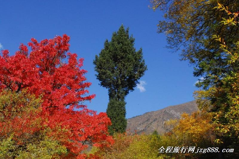 国庆节九寨沟旅游图片