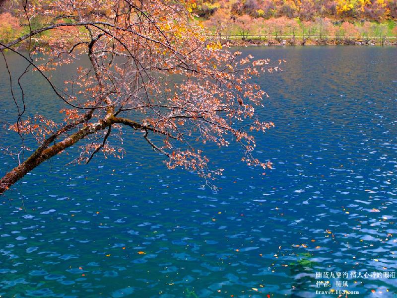 2011九寨沟国庆旅游注意事项供应2011九寨沟国庆旅游注意事项九寨沟自助游包车旅游黄龙旅游