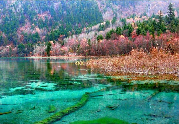 九寨沟旅游路线行程厂家