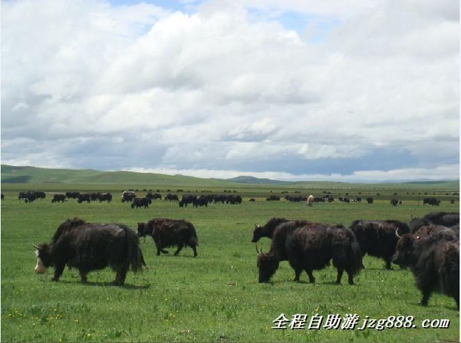 九寨沟旅游自助游行程线路旅游攻略供应九寨沟旅游自助游行程线路旅游攻略