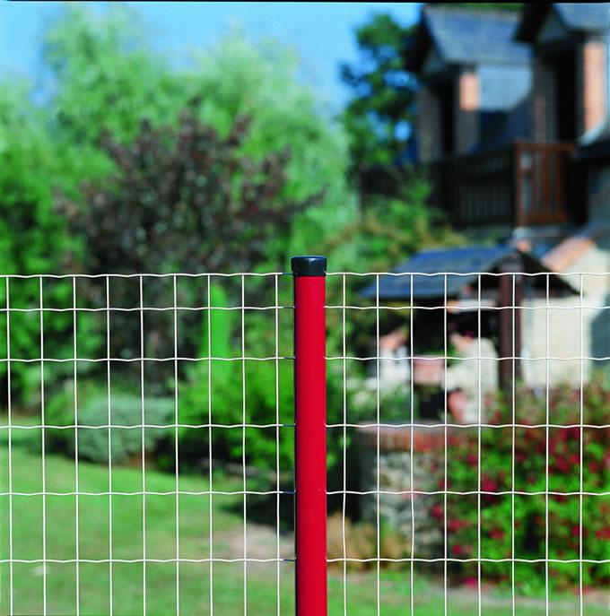 供應(yīng)涂塑波浪網(wǎng)、涂塑荷蘭網(wǎng)、涂塑護欄網(wǎng)