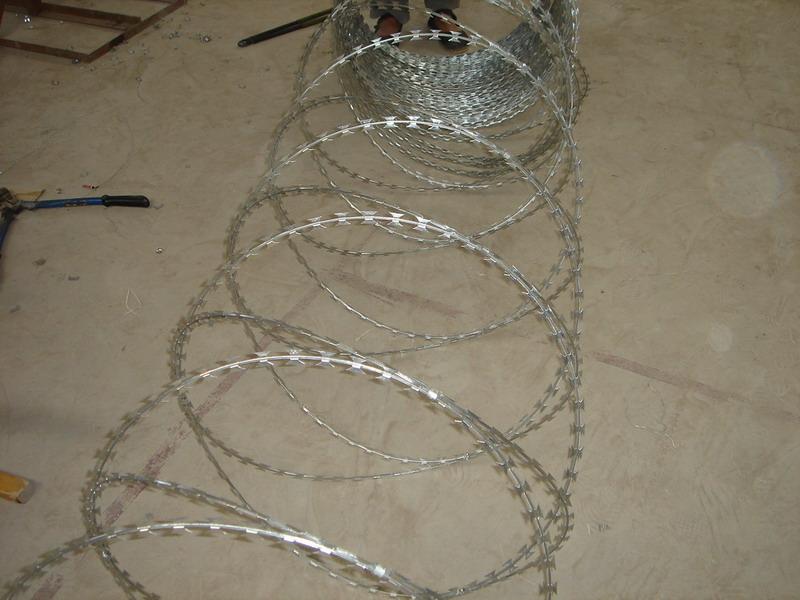 供應(yīng)*刺網(wǎng)型號、*刺網(wǎng)材質(zhì)、*刺網(wǎng)報價