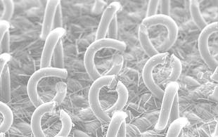 供應3M82566氣動機拋光打磨砂紙托盤