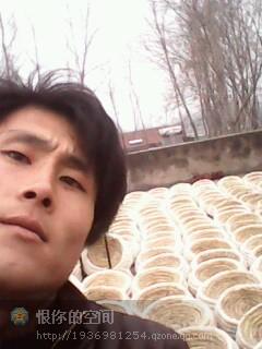 供應(yīng)草窩批發(fā)