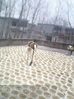 供應(yīng)草窩批發(fā)