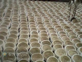 供應(yīng)草窩批發(fā)