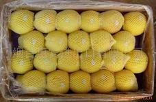 供應山東金帥蘋果市場，山東金帥蘋果市場批發(fā)，山東金帥蘋果市場價格