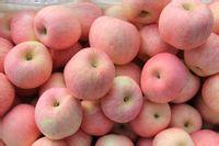 供應(yīng)山東沂水大量出售紅富士蘋果