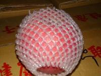 供應(yīng)嘎啦蘋果廠家