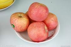 供應山東蘋果產(chǎn)地，山東嘎啦蘋果，山東紅富士蘋果，山東紅星蘋果