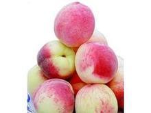 供應(yīng)山東毛桃生產(chǎn)