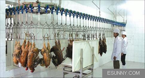 供應(yīng)家禽計(jì)數(shù)器家禽屠宰流水線用計(jì)數(shù)器