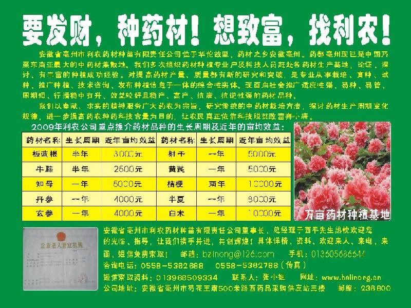 供应利农药材种苗-批发种苗-零售批发