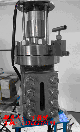 供應(yīng)可視攪拌釜