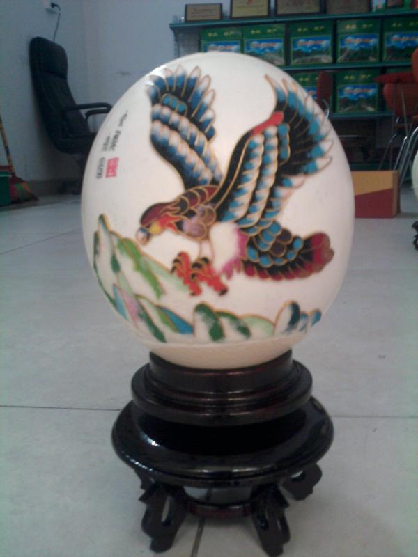 供應(yīng)鴕鳥蛋批發(fā)公司