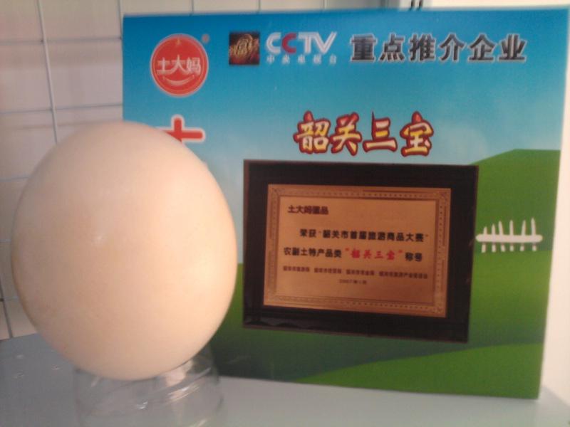 供應(yīng)好吃鴕鳥蛋鴕鳥蛋
