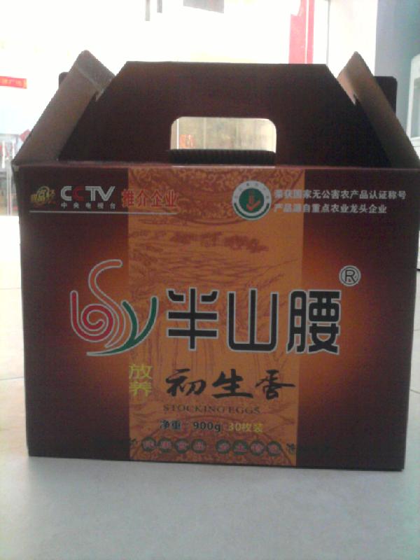 供應(yīng)初生蛋供應(yīng)商