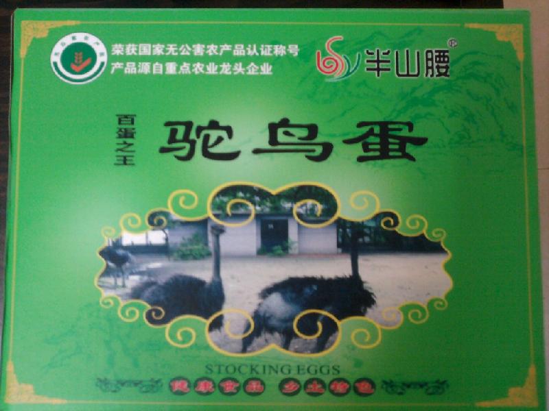 供應(yīng)廣州鴕鳥(niǎo)蛋鴕鳥(niǎo)蛋